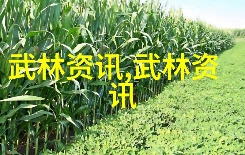解锁内家外派之谜功夫大全招式拳法中的技巧与心得