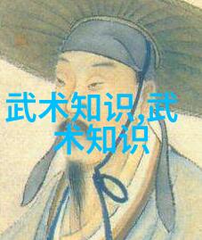 拳影穿梭从古朴到未来反差风格的拳法十六招式图解