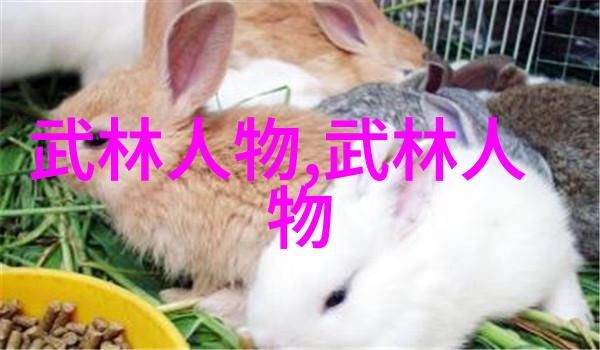 武林秘籍全集解密中国武功传承之谜