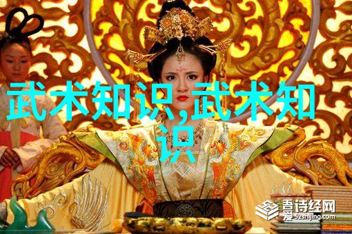 中国体系最庞大的武术门派-天龙秘谱揭秘中华武学的巨轮