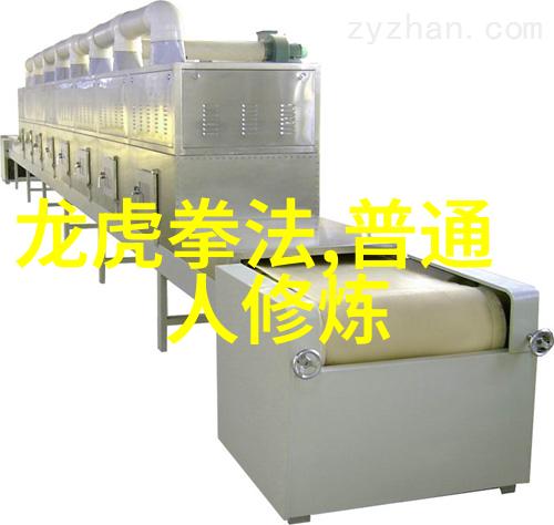 传统与现代如何评价中国十大最强武术在当代价值