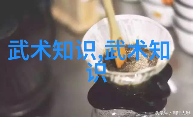 中华武学秘笈揭秘十大流派的神奇艺术
