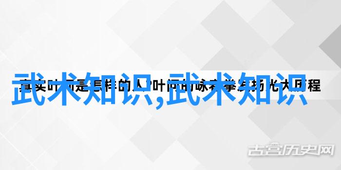 太极拳口诀解读之24式精髓探究