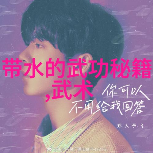 武功门派探秘少林派掌门人释永信与藏宝箱之谜