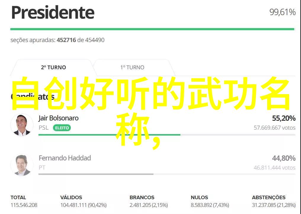 太极24式的奥秘正面与背面的差异有哪些