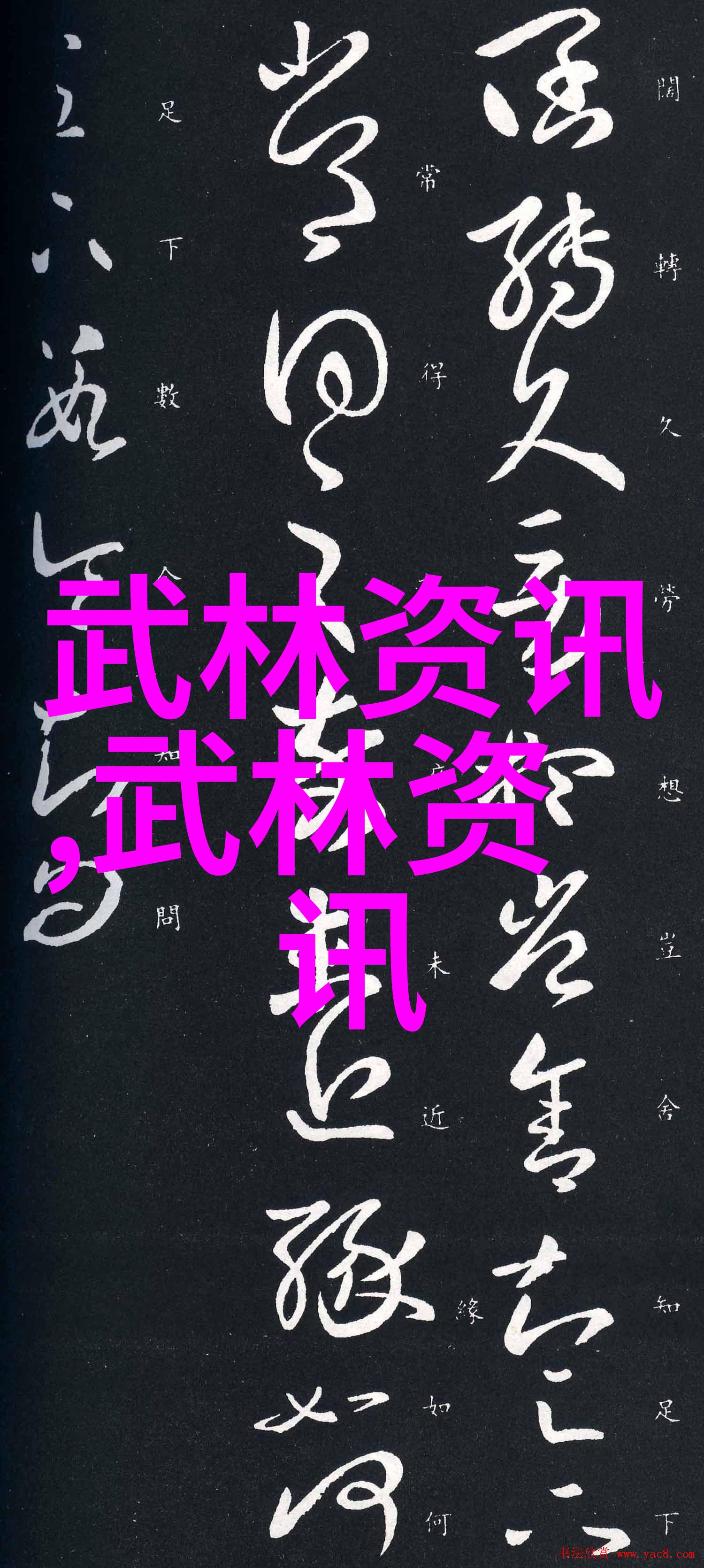 武功秘籍网揭秘江湖绝学之传说