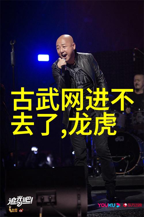 武术之威会武术的人背后的危机