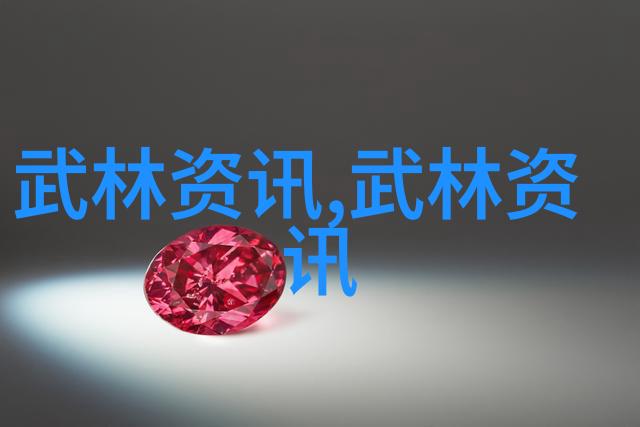邱慧芳教授的太极拳全套教学探索传统武术艺术的精髓