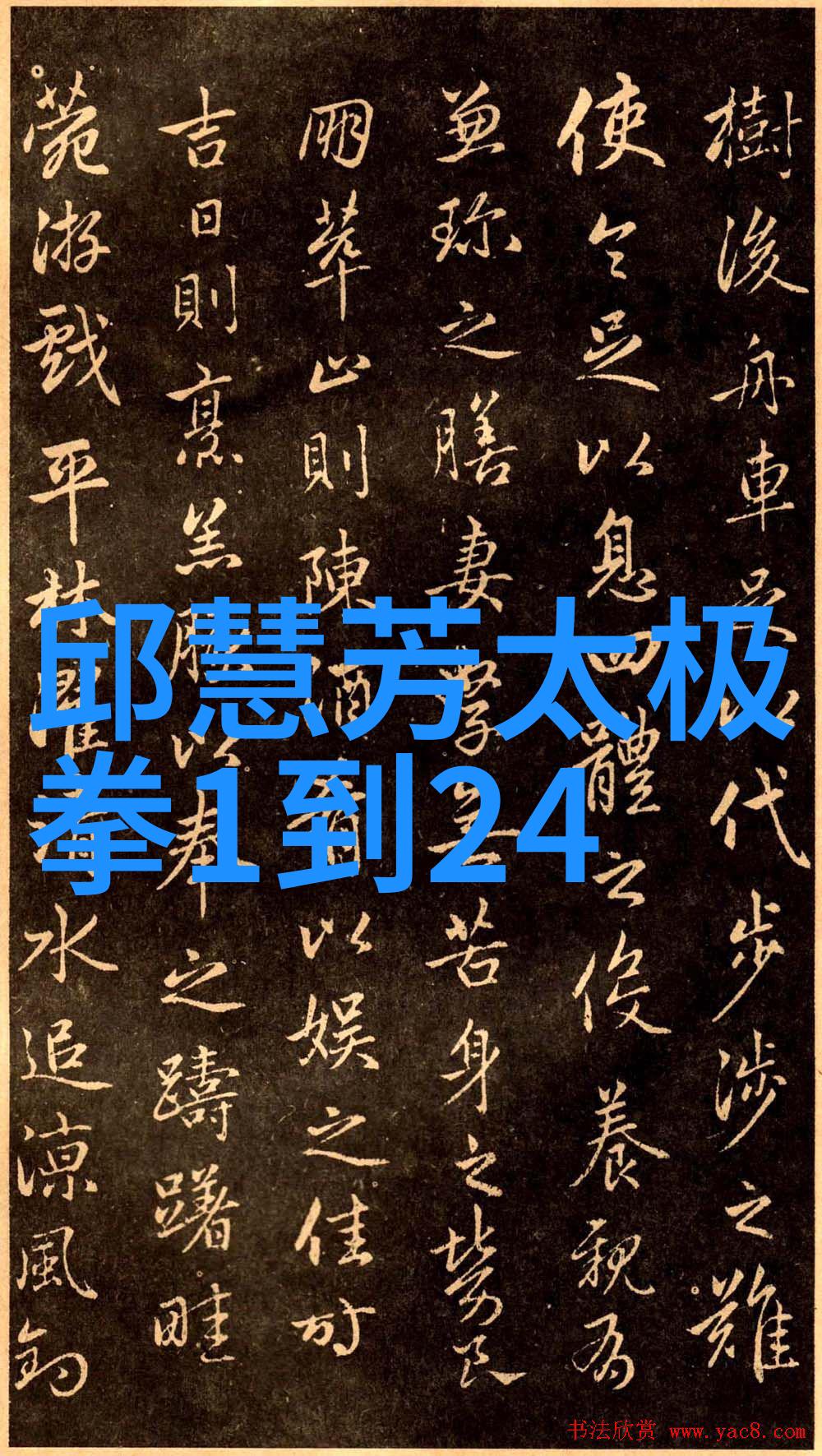 传承与创新如何正确记忆和实践24式太极拳口诀表