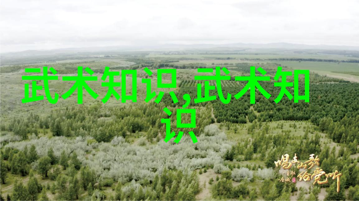 贵州武林门派分布数据分析黑虎拳的踪迹