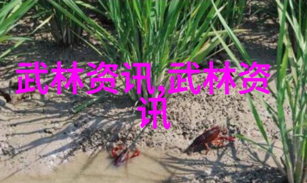 诗意的帮会名古风-幽梦楼下寻觅古风帮会的诗意篇章