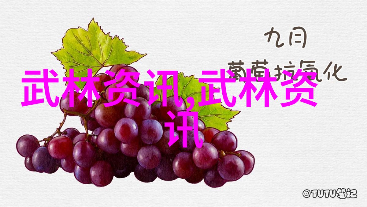 仙穹之巅云霄宗的传说