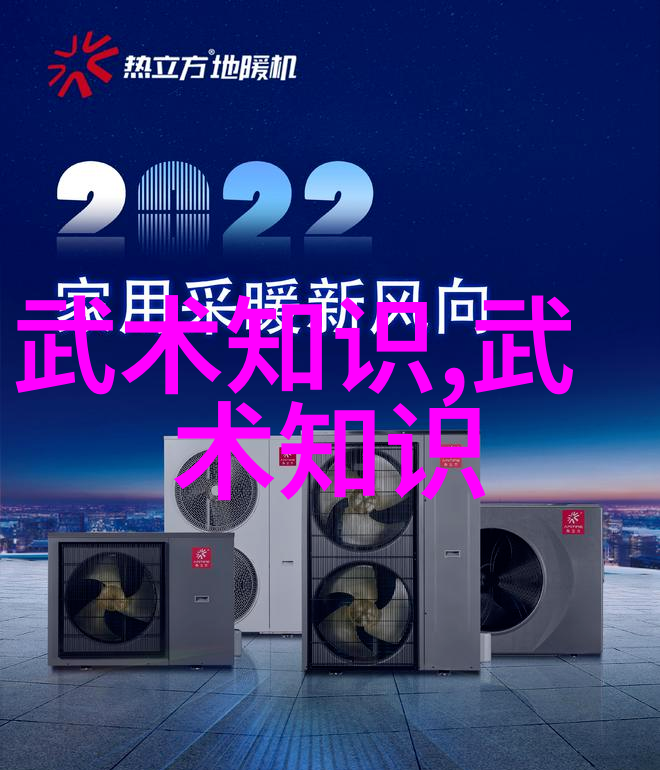 武当游氏丹道古韵悠扬拳姿如织