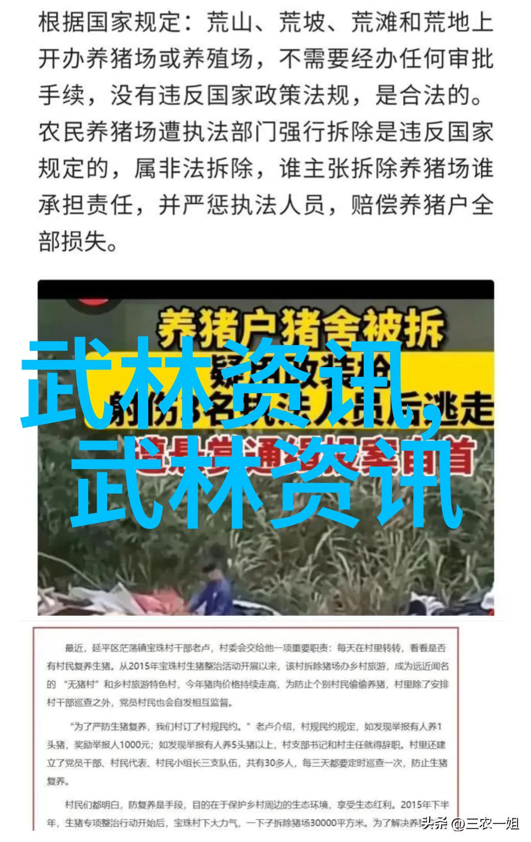 24式太极拳口令全套解析究竟包含哪些关键步骤