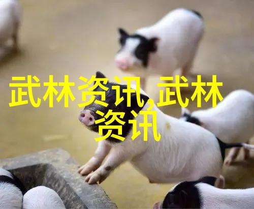 中国功夫-探秘中国武术揭秘各式拳法之美