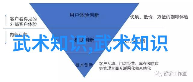 将动作电影中的英雄主义带入现实分析顶尖影视功夫背后的真相