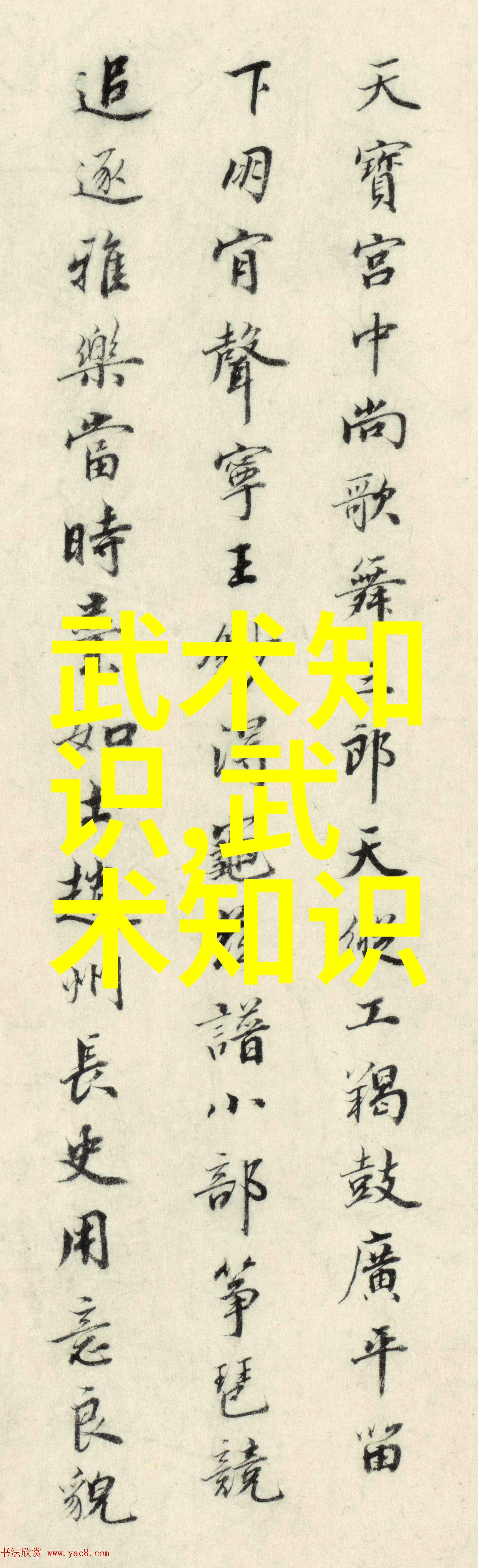 武功秘籍大全招式拳法图片我是如何从一本旧书中发现的武学宝典