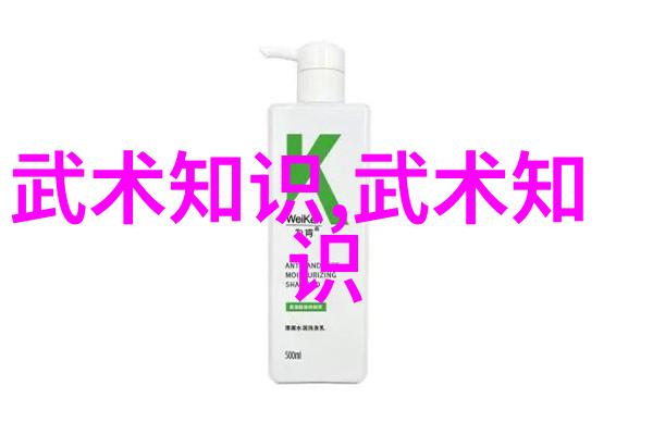 云雾缭绕之武当全真龙门派传人江湖秘密与孤独的重生