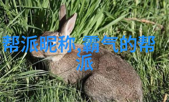 中国武术门派大集合从醉拳到八卦打造你我他最强内功