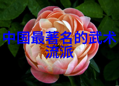 最新霸气军团名乾坤门震撼宇宙的拳种豪杰