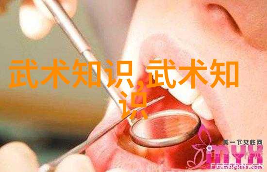 中华武学之巅云游四海的武林无双