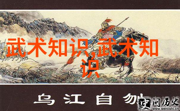太极拳24式慢动作讲解 - 轻松修炼内力深入理解太极拳的每一个细节