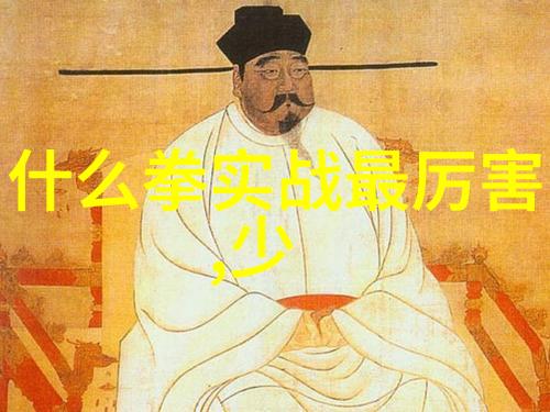 太极拳的套路与拳架赵艳解密功夫大全招式之谜