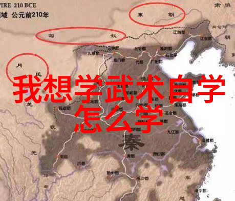武术十大巨擘实战技艺之巅峰舞者