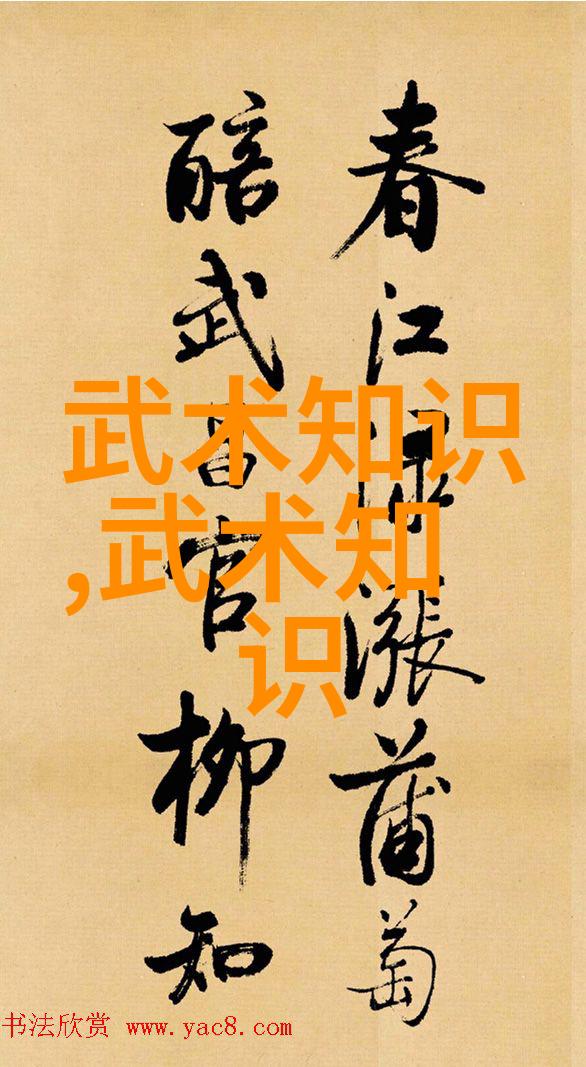 剑法秘籍剖析古代刀剑的制胜技巧