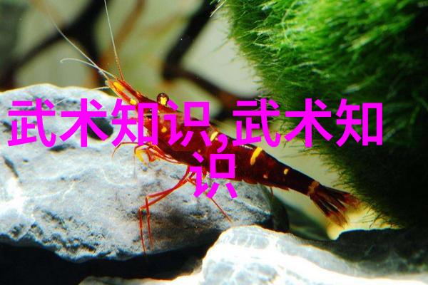 上海精武虹口辅导中心成立10周年节目表演花絮