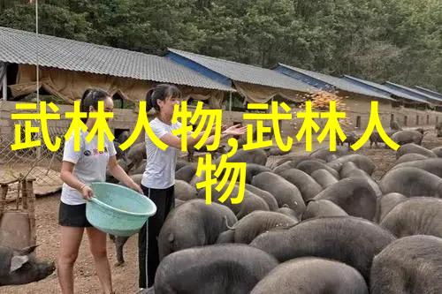 游戏风云弹弹堂官网-探秘弹弹堂揭秘风云游戏的策略与魅力