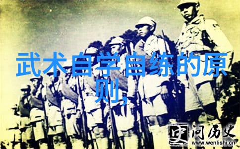 武术基本功网站-练习精进武术基本功网站的全面指南