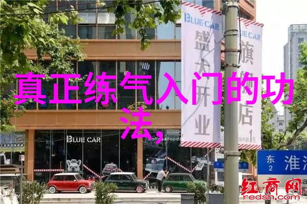 张杰刘淑君携手探秘中国武功秘籍的大全书陈式太极拳技击之声东击西在大自然中的演绎