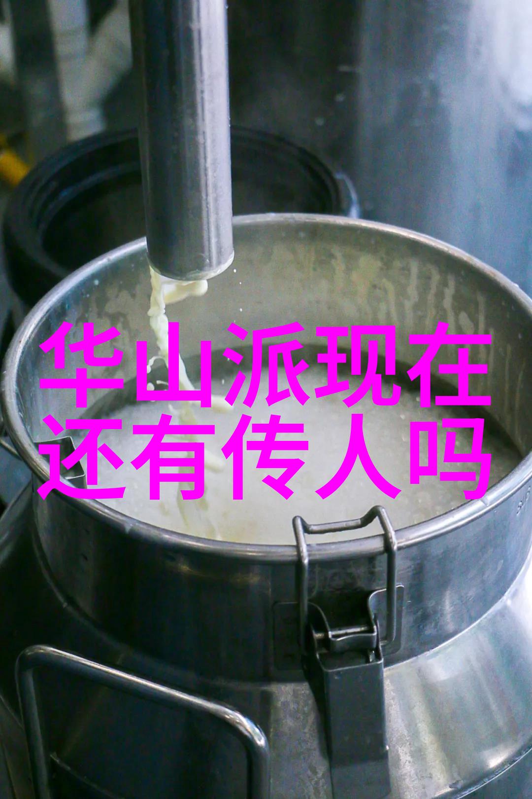 武术盛世揭秘武术活动名称的艺术与智慧