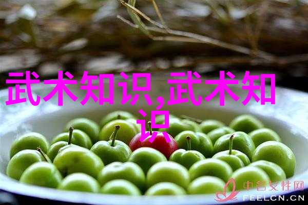 如何运用自学图解提升我的太极拳24式技巧