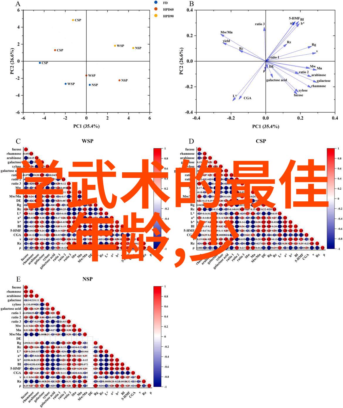 张晓星的古武入门修炼法我练太极十三桩直逼仙境