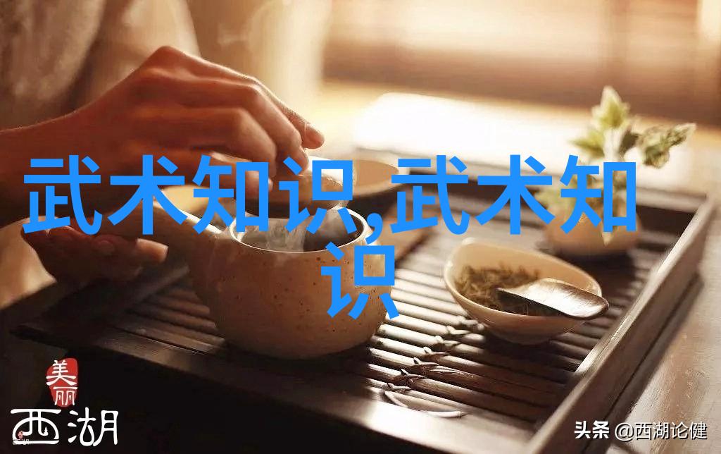 如如何通过深入研究历史上的战斗记录来评估这些被认为是非常有效的古老艺术形式