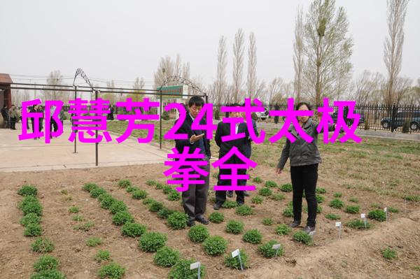 在传统文化价值观中南京派和广东派各自代表了什么意义