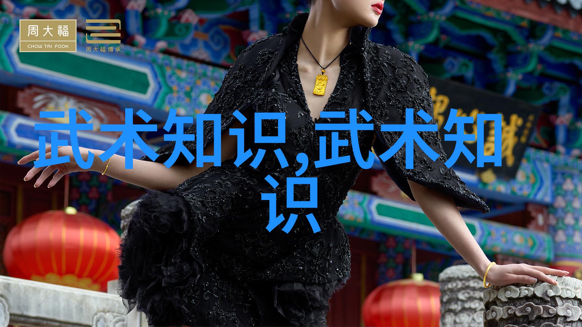 古风帮派中的七星螳螂拳传承至一位身手矫健的侠客