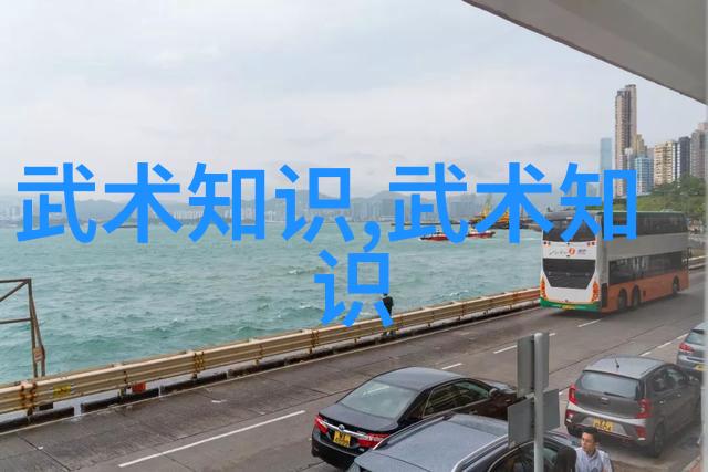中国武术的丰富魅力揭秘各大流派的奥秘