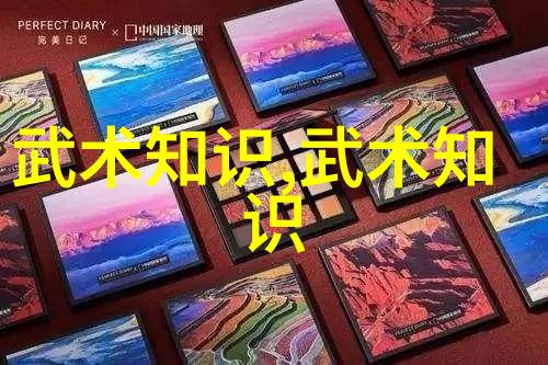李小龙的武术教学视频传统功夫练习