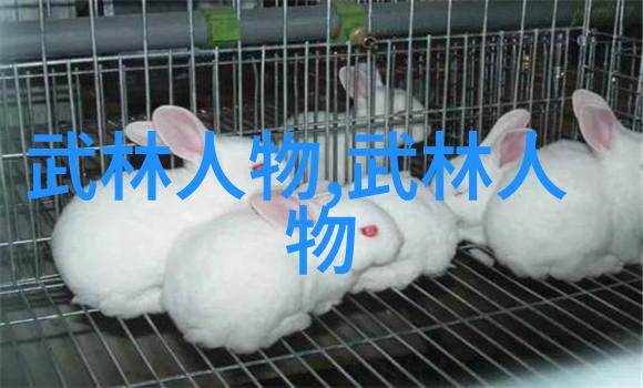 古风帮派之名霜刃幽灵古风帮派的神秘力量