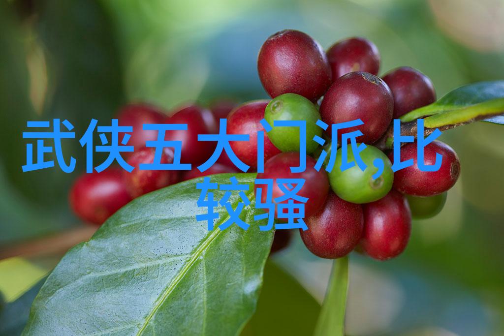 探索中华民族精神从气到韵中国十大武术艺术探究