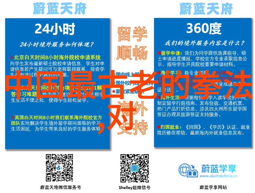 探索中国武术现存门派的精髓与未来