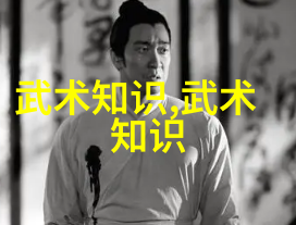 少儿散打武术隐秘的技艺与未解之谜