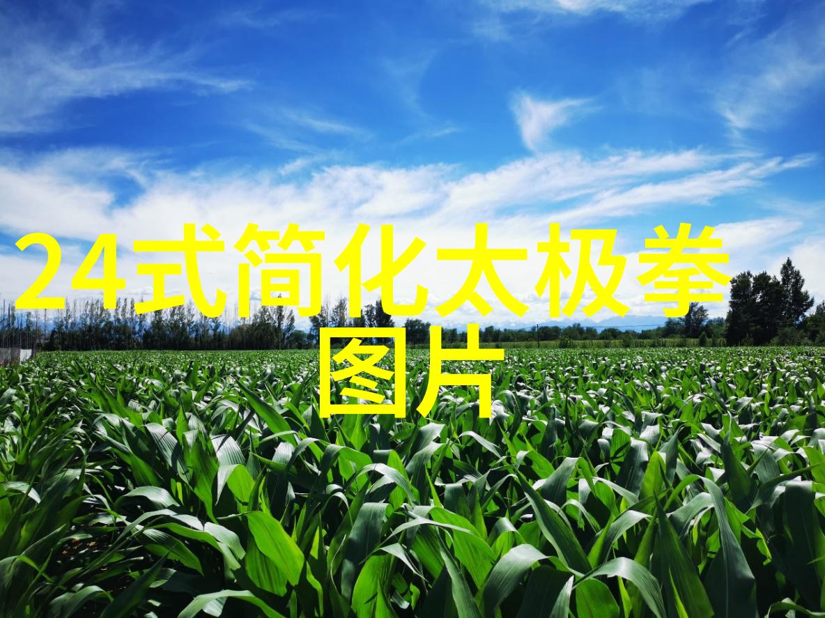 悟道秘录寻踪古代武功源