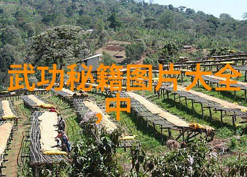 康比特i健身应用引领自然饮食男女的健康之旅