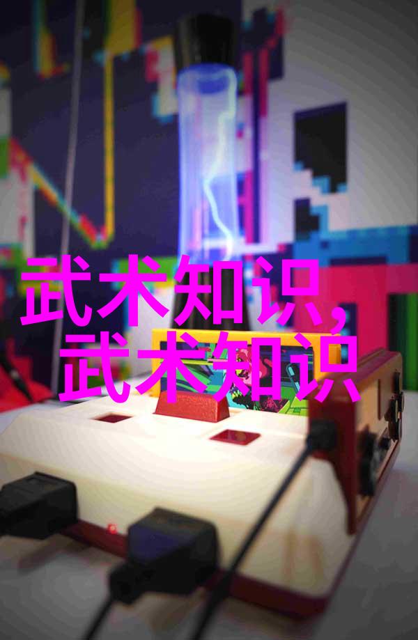 武功秘籍大全拳法之谜内家外派拳法技巧集成