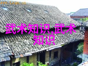 武术历史古代哪些武术体系最具影响力