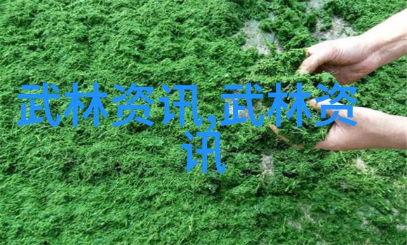 普通人如何学习武功武术修炼的入门指南